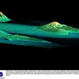 Who Wants to Own a $600 Million Hawaiian Island?