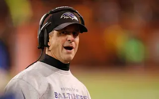 John Harbaugh Net Worth