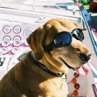 10 Truly Bizarre Ways People Have Made Millions