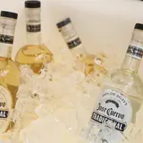 The Tequila Fortune And How The Cuervo Family Plans To Turn Tequila, Jalisco Into The Napa Valley of Mexico