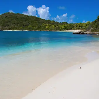 Billionaire Building A Luxe Caribbean Resort For Bitcoin Cash Holders Only