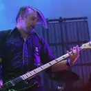 Paul D'Amour