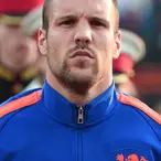 Ron Vlaar Net Worth