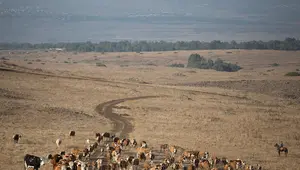 The 20 Largest Landowners in the United States