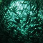 The World's Third-Youngest Billionaire Is Rich Thanks To Fish Farming