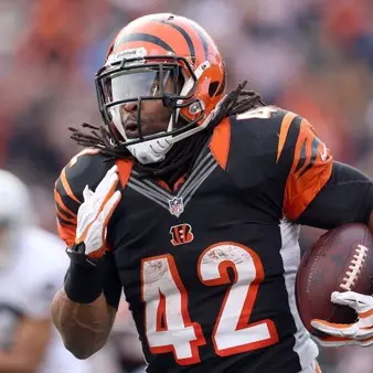 BenJarvus Green-Ellis Net Worth