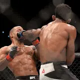 The Richest MMA Fighters In The World – 2013