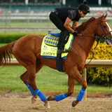 Kentucky Derby Winner Justify Is Self-Made Billionaire's Horse