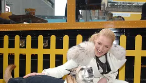 While Every Other Celebrity Tries To Get Rich With A Tequila Brand, Katherine Heigl Is Quietly Already A Dog Food Super Mogul