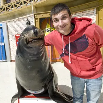 Frank Iero Net Worth