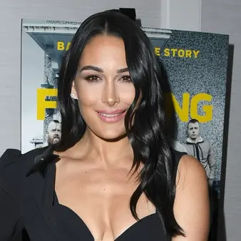 Brie Bella Net Worth