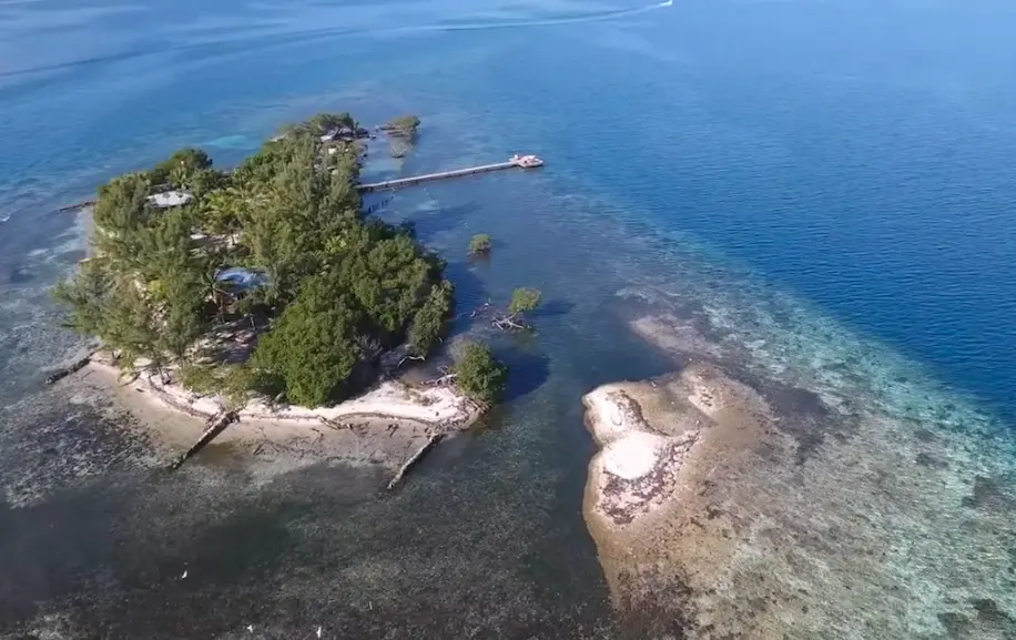 "Broke" Francis Ford Coppola Sells One Of His Belize Island Retreats to Stem $100+ Million "Megalopolis" Loss