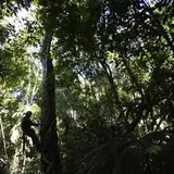 Las Pozas: The "Surrealist Xanadu" Playground Built By A Millionaire In The Mexican Jungle