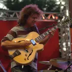 Pat Metheny Net Worth
