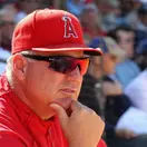 Mike Scioscia