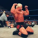 Scott Steiner Net Worth