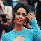 Mallika Sherawat Net Worth