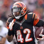 BenJarvus Green-Ellis Net Worth