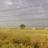 Wal-Mart Heiress Rolls Back Prices On Luxury Ranches