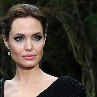 Angelina Jolie's Former Investment Company Is Suing Brad Pitt For $250 Million Over Chateau Miraval Wine Company