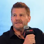 David Boreanaz Net Worth