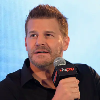 David Boreanaz