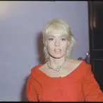 Joey Heatherton Net Worth