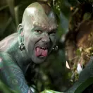 The Lizardman