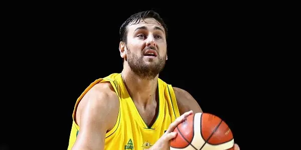 Andrew Bogut