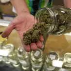 Chewing Gum Billionaire Moves From Candy Aisle To Medical Marijuana
