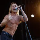 Iggy Pop