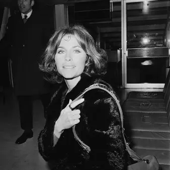 Michele Carey Net Worth