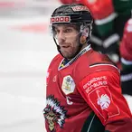 Joel Lundqvist Net Worth