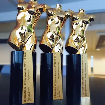 Undisputed King Of Internet Porn Arrested On Tax Charges