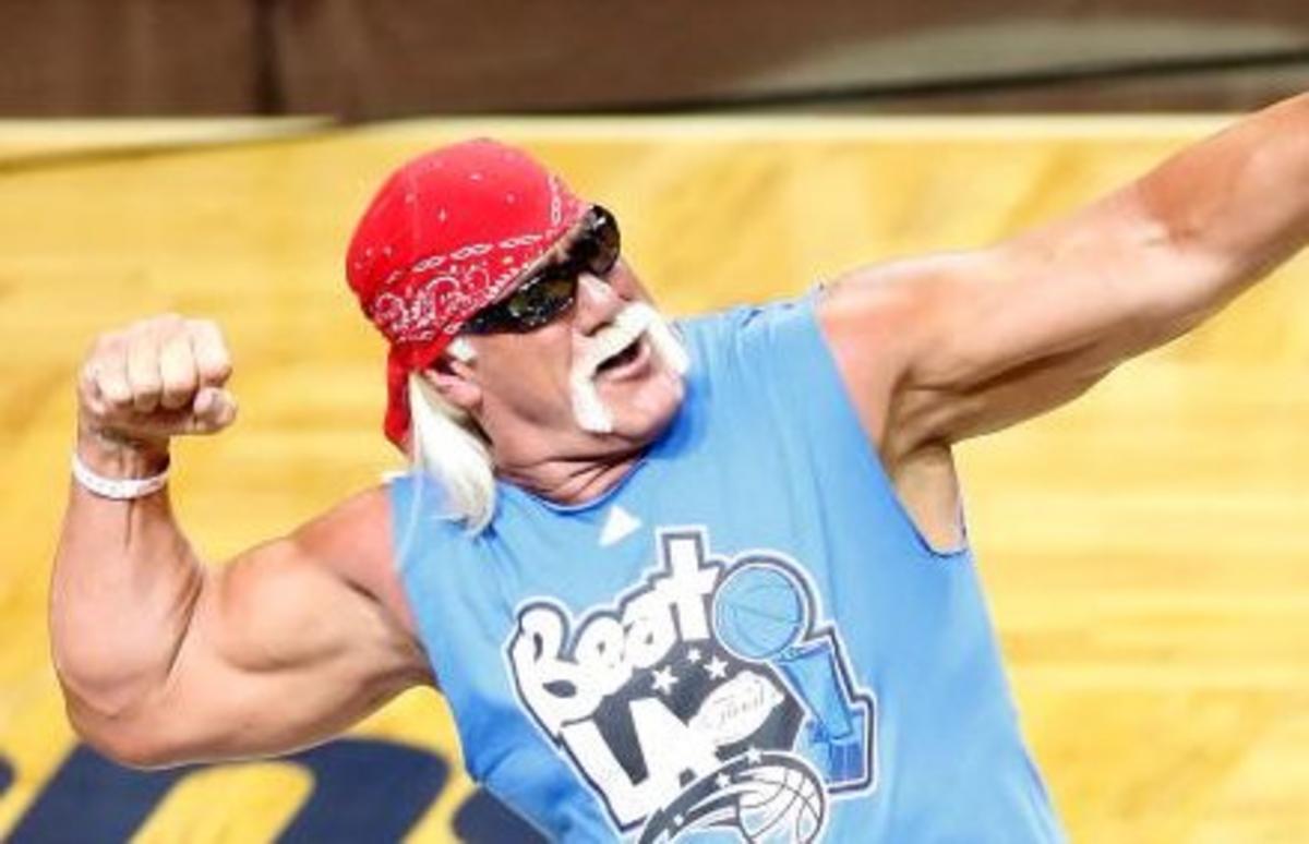 Hulk Hogan Celebrity Net Worth