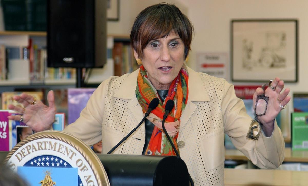 Rosa Delauro Net Worth Celebrity Net Worth