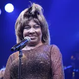 Tina Turner Net Worth