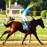 American Pharoah Could Be Worth $50 Million. So Why Does His Owner Want To Keep Racing Him??!!