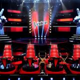 How Much Do The Judges On The Voice Get Paid?