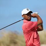 Tiger Woods Has A Beastly New Sponsorship, And It's Really Making Some Noise