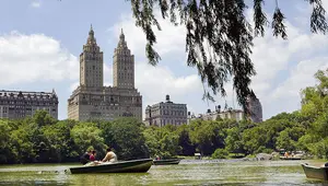 Adam Shulman Net Worth Celebrity Net Worth