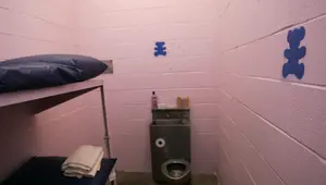 Christine Baranski Net Worth Celebrity Net Worth