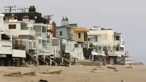 Michael Jackson Net Worth | Celebrity Net Worth