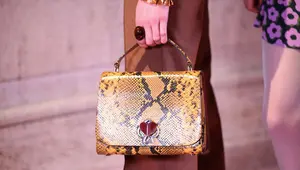 Tina Fey Net Worth | Celebrity Net Worth