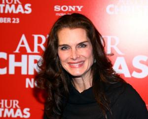 Brooke Shields Net Worth Celebrity Net Worth