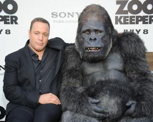 kevin james net worth celebrity net worth