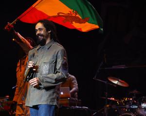 reggae damian marley