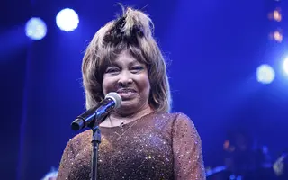 Tina Turner Net Worth