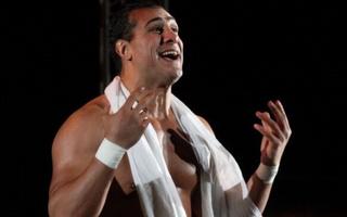 Alberto Del Rio Net Worth