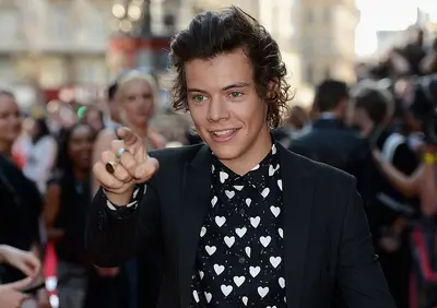 It Turns Out Harry Styles Ferrari Was A Rental Celebrity Net Worth
